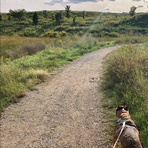 Meet your Posher, Dan